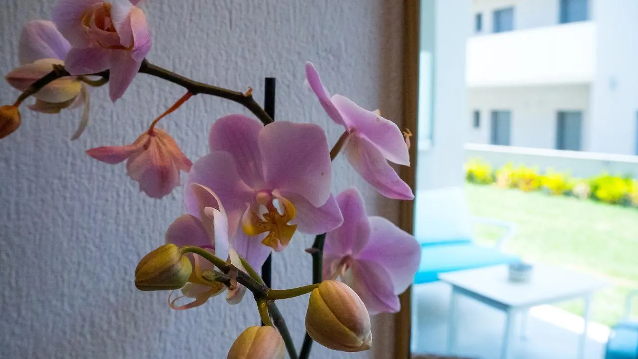 ניקיטי Costa Domus Blue Luxury Apartments
